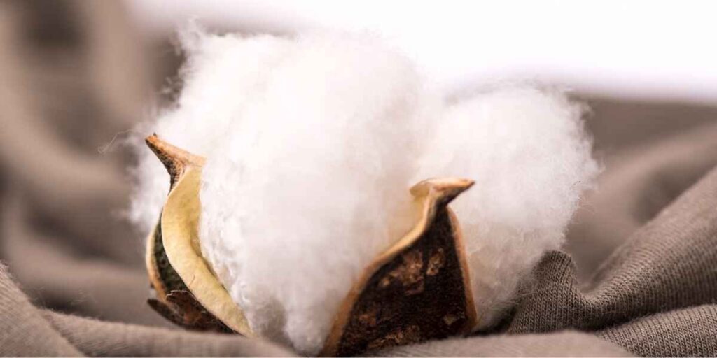 Exploring the Cotton Fabric and Its Features