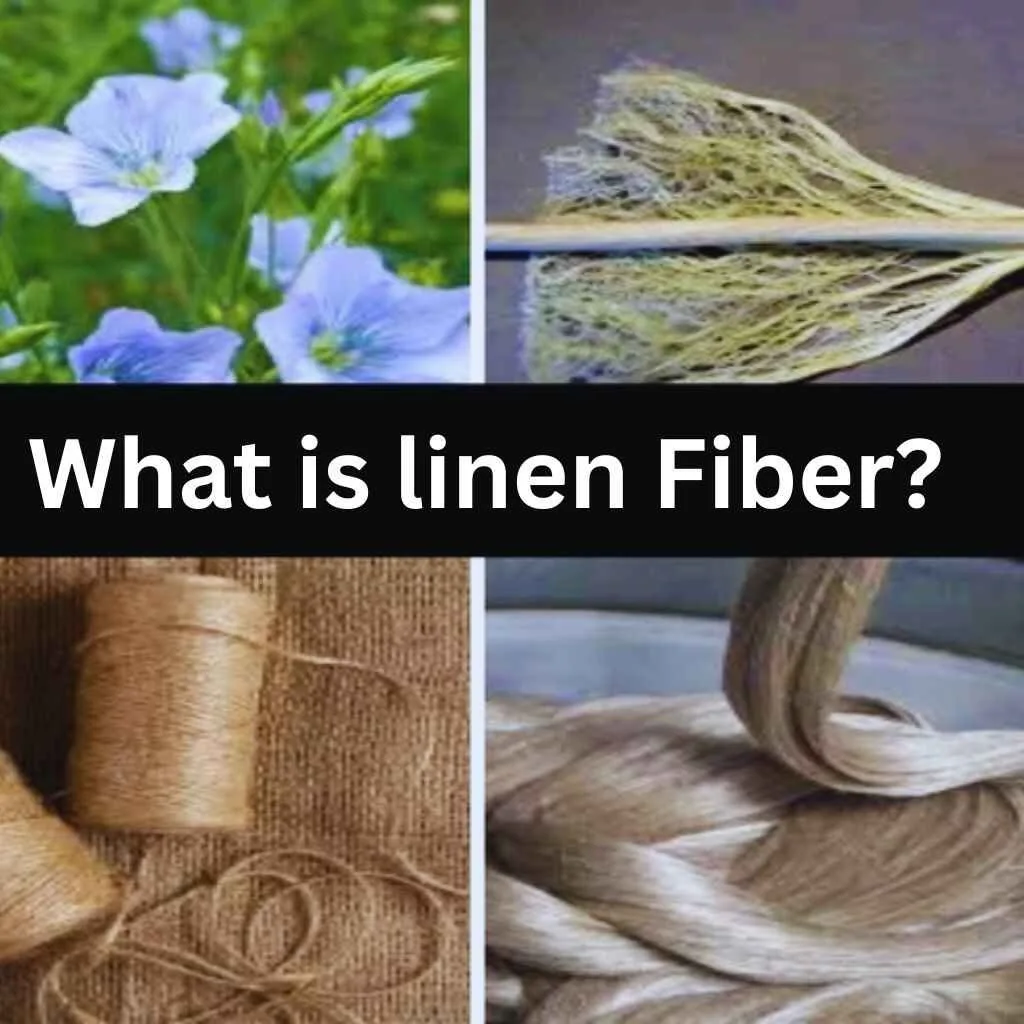 Understanding Linen Fiber: From Flax to Fabric A collage showing linen fibers' natural sources, including flax flowers, linen thread spools, and processed fiber strands.