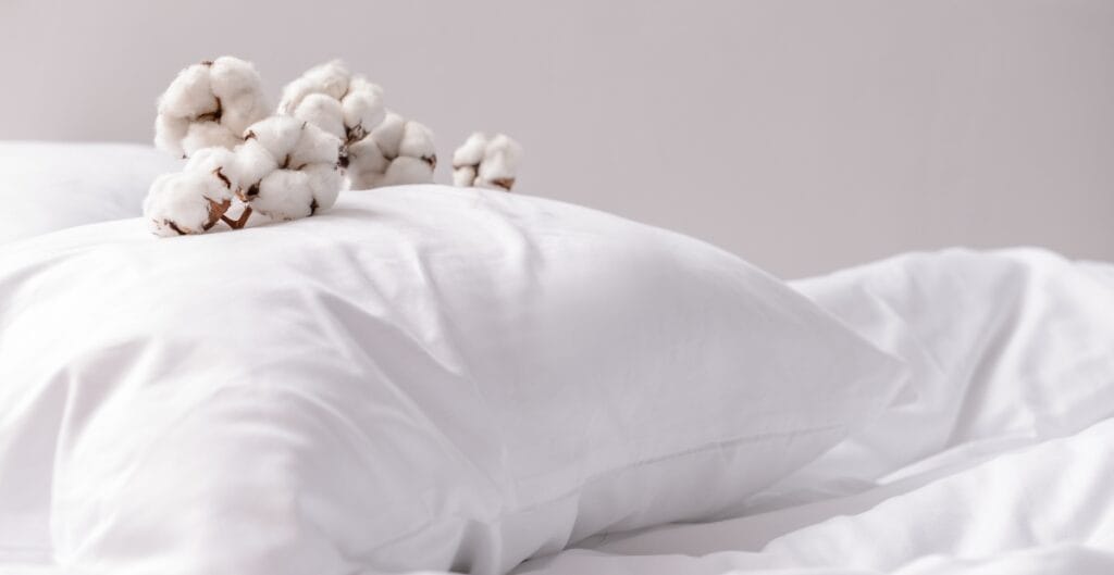 A close-up image of two white pillows on a neatly made bed, with a sprig of cotton resting on one pillow. Advantages of Cotton Fabric.