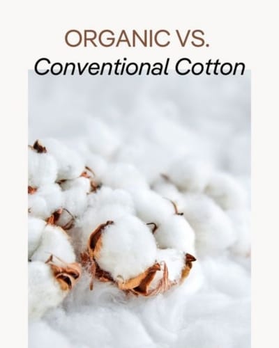 Close-up of cotton bolls on a fluffy white background, contrasting the themes of organic and conventional cotton.
