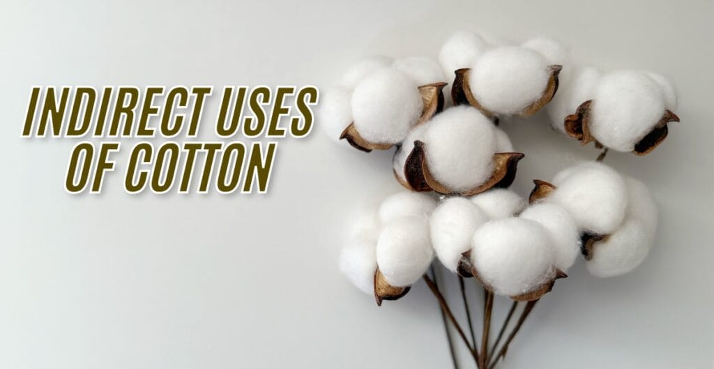 A cluster of cotton bolls with the text "INDIRECT USES OF COTTON" overlaying the image.