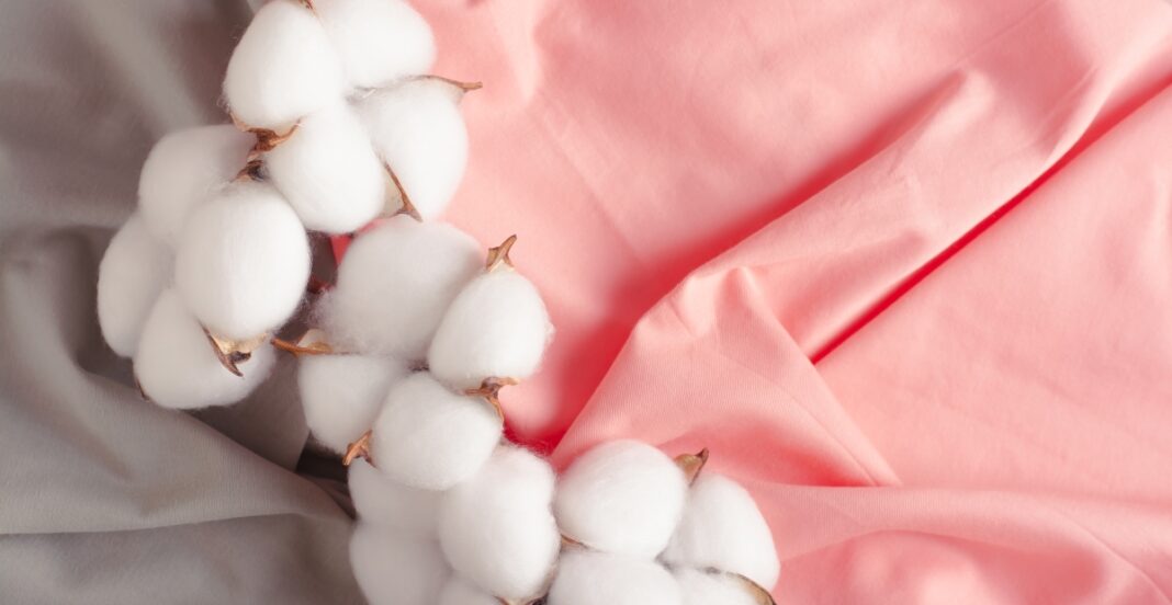 Close-up of cotton bolls on soft fabric.