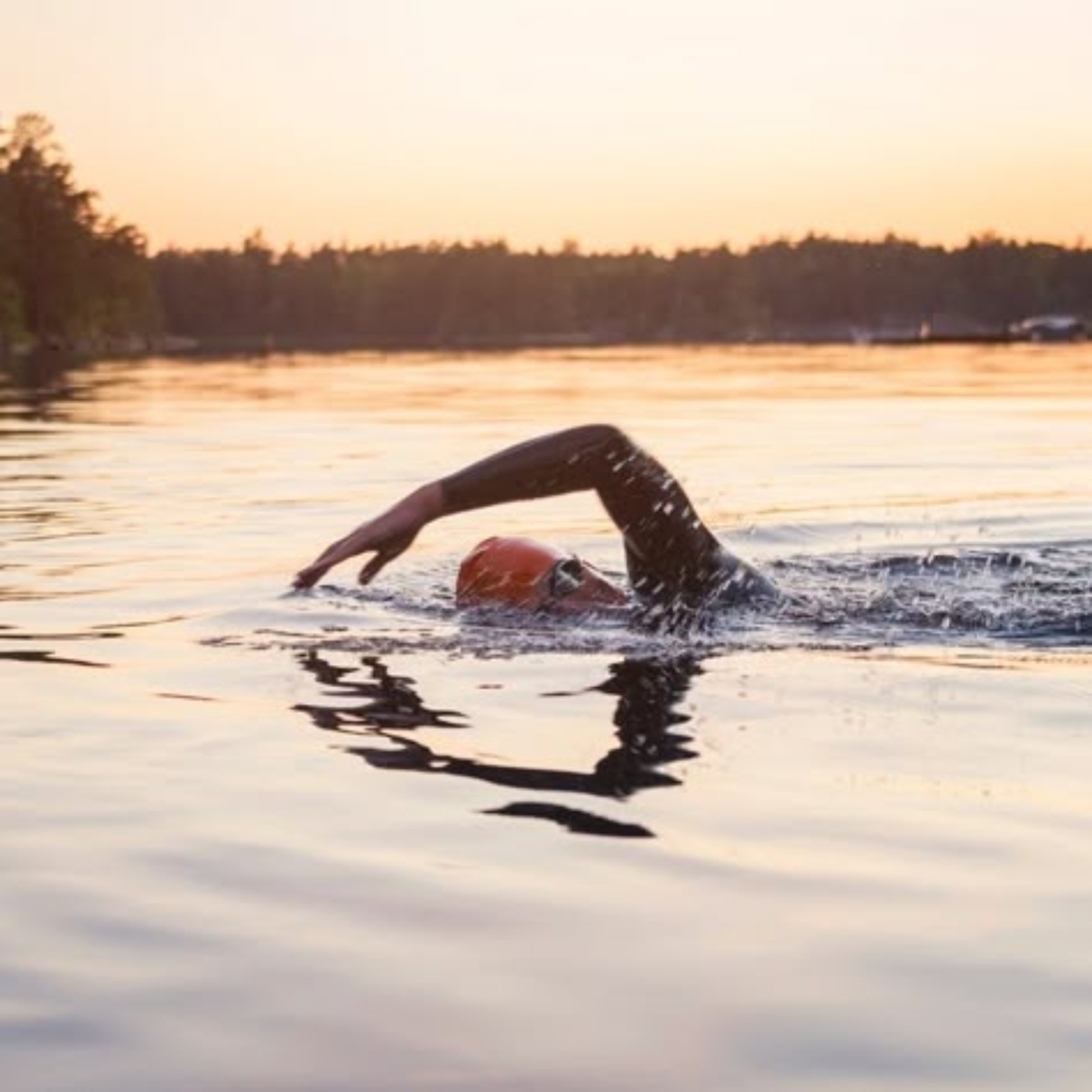 A swimmer in a black wetsuit and an orange swim cap strokes through calm waters at sunset.
Gym wear guide