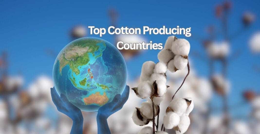 A globe held by hands with cotton plants in the foreground, illustrating the top cotton-producing countries.