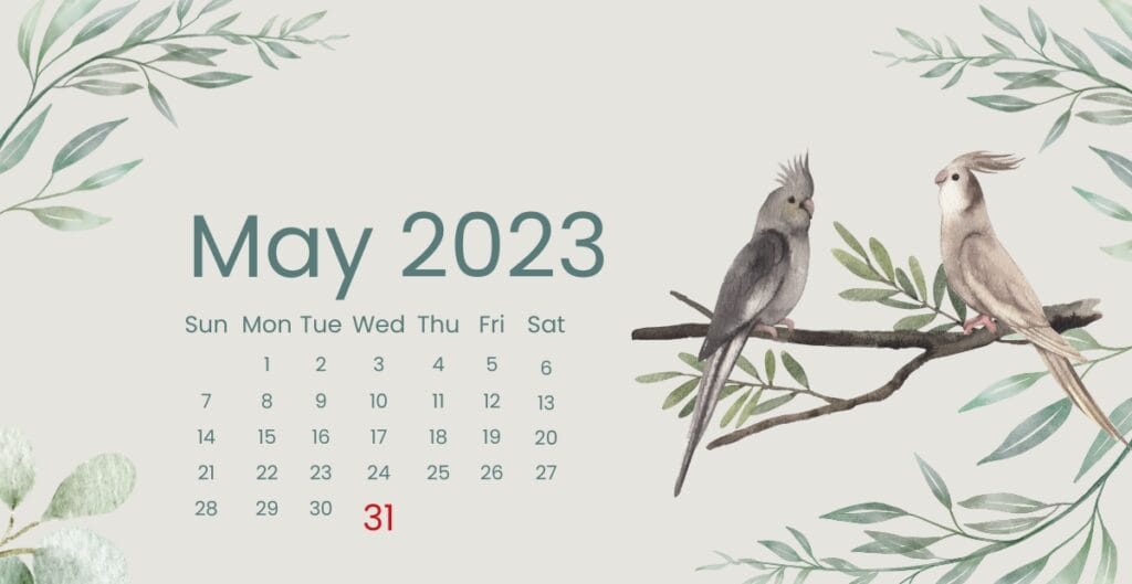 Illustrated May 2023 calendar with two cockatiels perched on a tree branch surrounded by watercolor-style greenery.