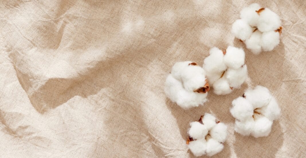 Six cotton bolls are scattered on a light, textured fabric surface with soft shadows cast around them.