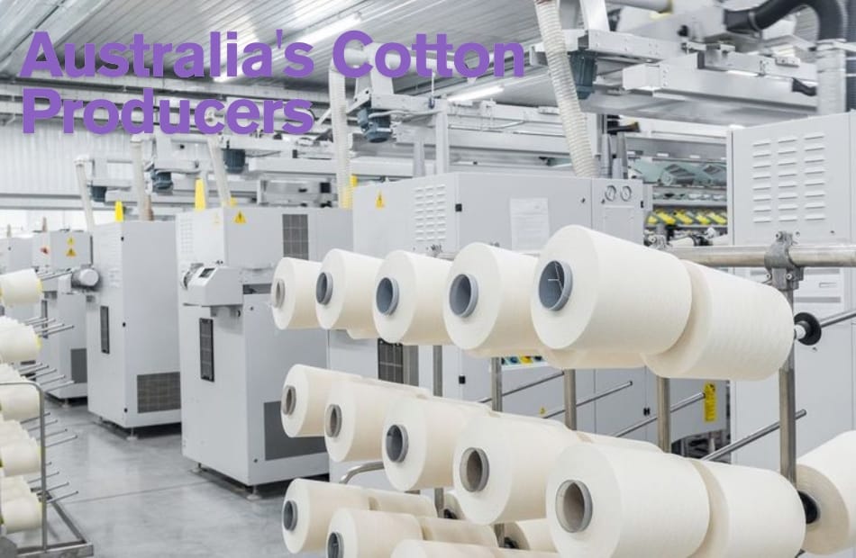 A modern cotton textile manufacturing facility with rows of large white yarn spools and industrial machinery.