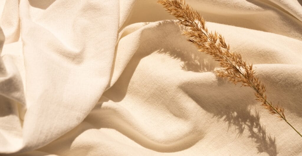 Soft beige natural fabric with a dried wheat stem casting a shadow in sunlight.
