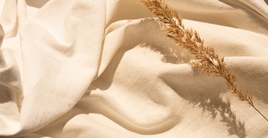 Soft beige natural fabric with a dried wheat stem casting a shadow in sunlight.