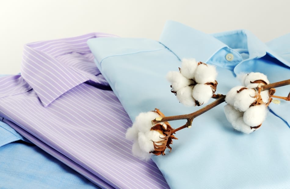 A close-up of neatly folded, pastel-colored dress shirts—one lavender with white pinstripes and the other light blue—with a branch of white cotton flowers resting on top.