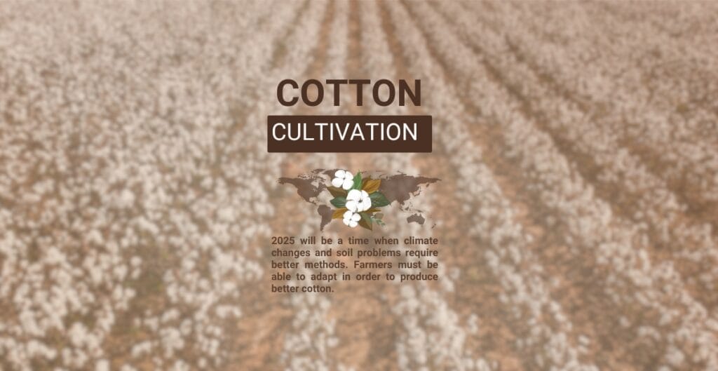 A cotton field with blooming cotton plants, overlay text highlighting “Cotton Cultivation 2025” and a message about climate change and soil adaptation.
