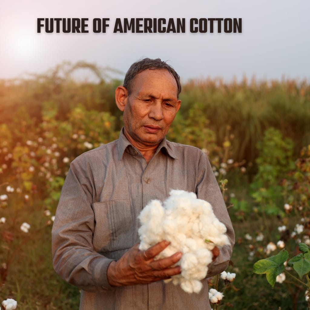 A man in a gray shirt stands in a cotton field holding a large bundle of freshly picked white cotton, with cotton plants in the background. The text "FUTURE OF AMERICAN COTTON" appears at the top of the image.