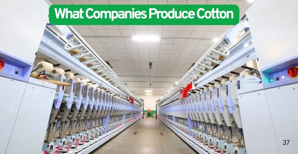 A large industrial textile manufacturing facility with rows of spinning machines for processing cotton, in a spacious, well-lit factory.