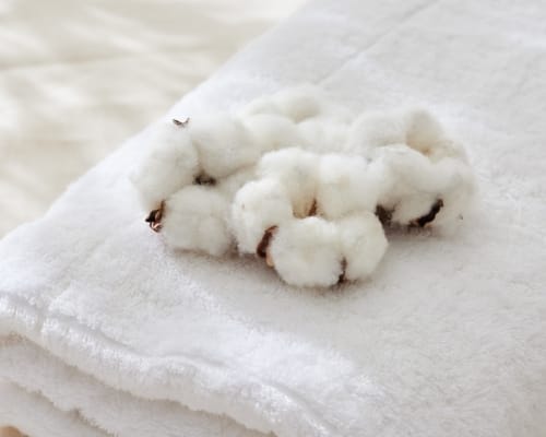 Close-up image of a few cotton bolls resting on a white fabric surface.