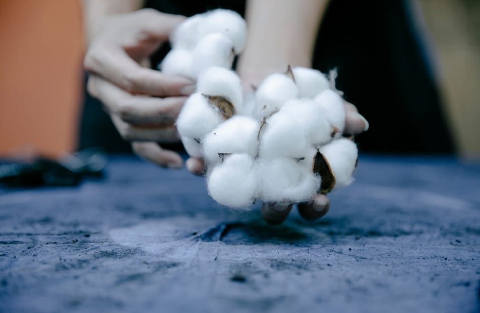 A close-up image of cotton bolls being held by a person’s hand, with a blurred background.