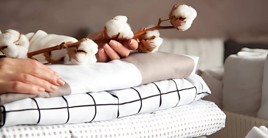 Sustainable organic clothes on eco-conscious models highlighting the future of ethical fashion trends.