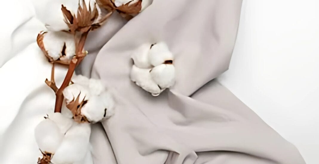 Close-up of several cotton bolls attached to brown cotton stems, resting on a light-colored, soft fabric background.