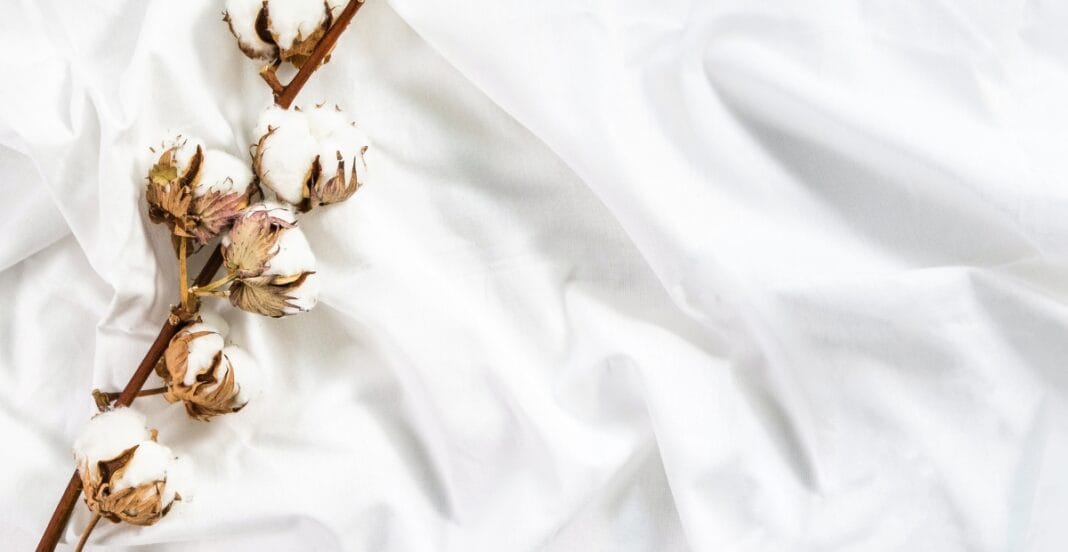 Close-up image of a white cotton fabric with a cotton stem laid across it. The fabric is soft, smooth, and slightly wrinkled.