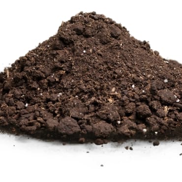 A mound of rich, dark brown soil with a crumbly texture, indicating fertile ground.
