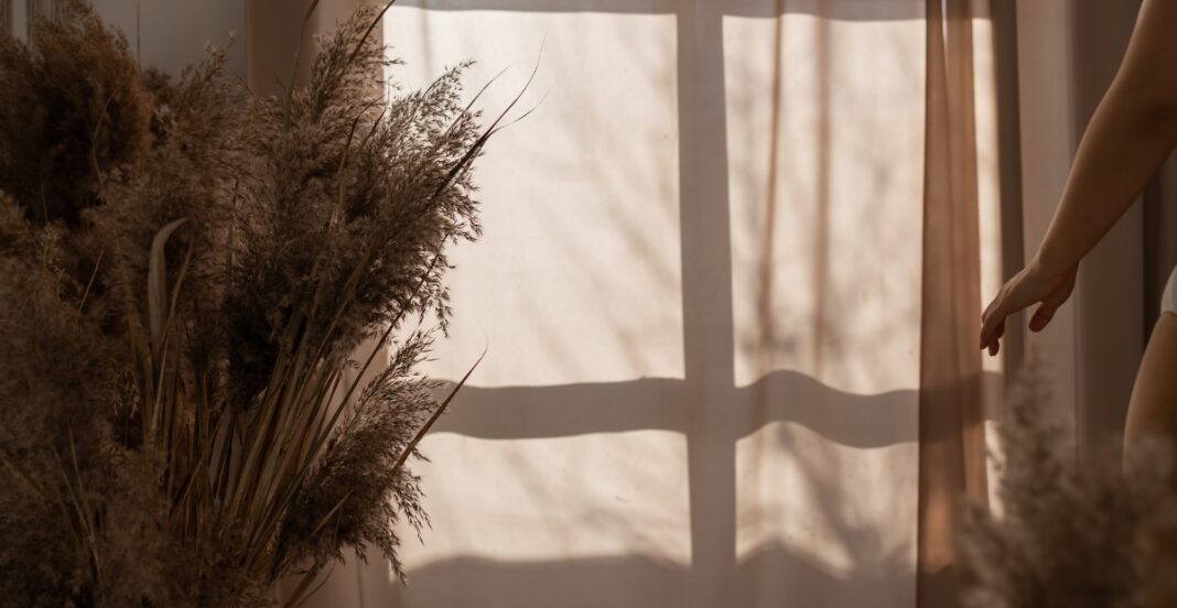 A soft, warm-toned interior scene with sheer curtains diffusing sunlight, casting shadows on the wall. On the left, there is a large bouquet of dried grasses or pampas, and on the right, a person's arm reaching out with a relaxed posture.