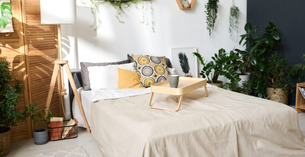 A cozy bedroom with a beige bedspread, multiple decorative pillows, a wooden side lamp, and abundant green houseplants against a white and dark accent wall.