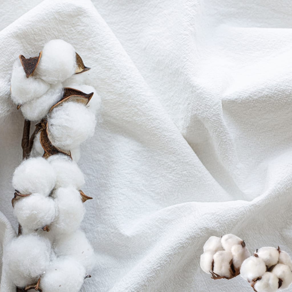 Close-up of cotton bolls and a textured white fabric surface.