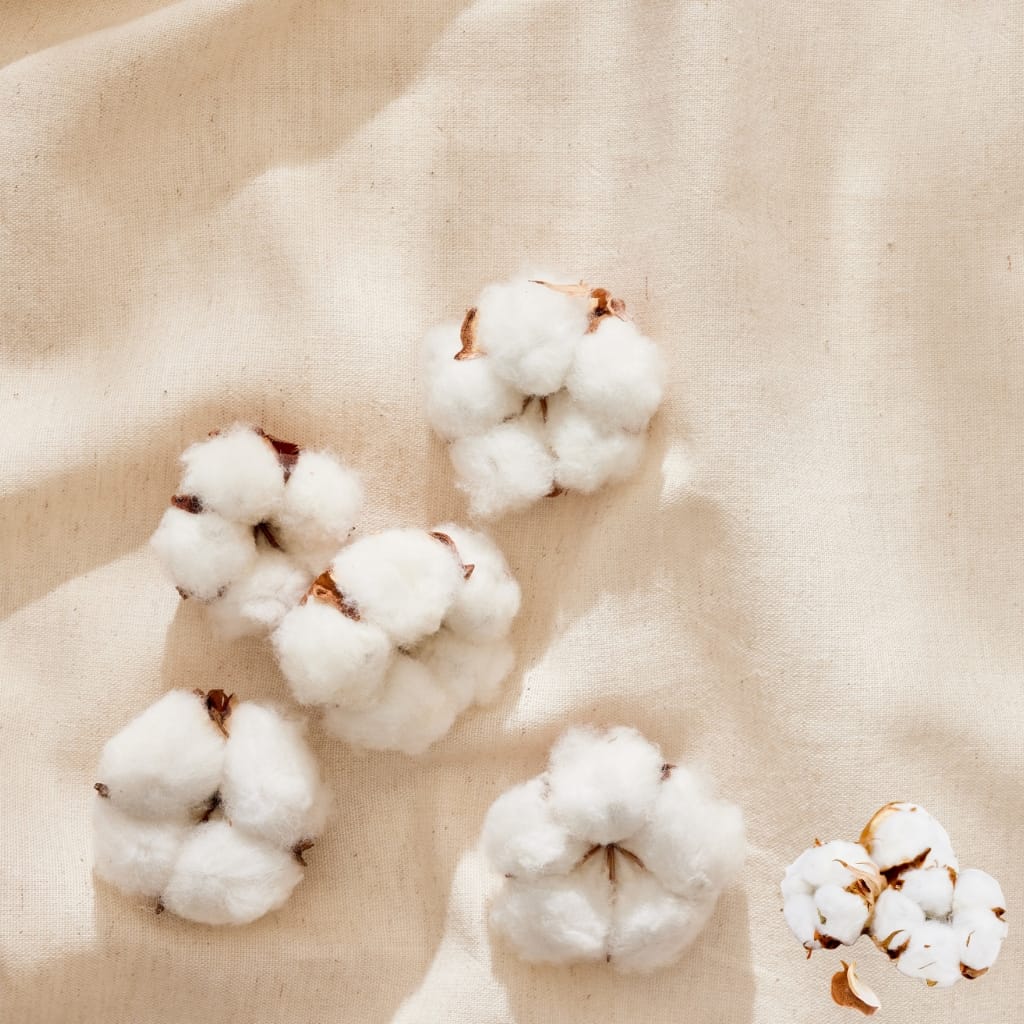 Multiple cotton bolls with white fibers and brown calyxes scattered on a beige fabric background.