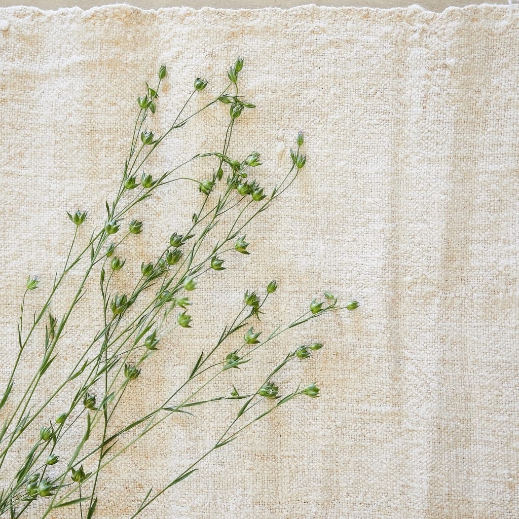 A close-up of delicate green plant stems with small bud-like flower buds against a plain beige textured background.