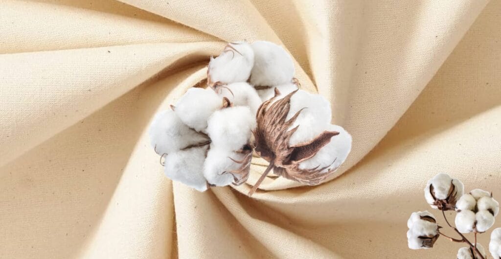 Close-up of cotton bolls resting on a cream-colored fabric background.