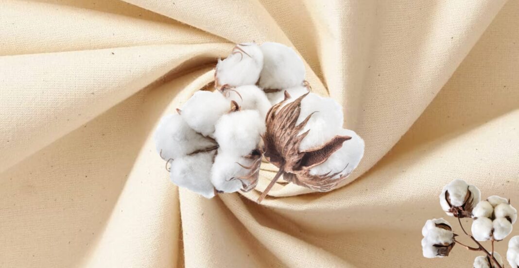 Close-up of cotton bolls resting on a cream-colored fabric background.