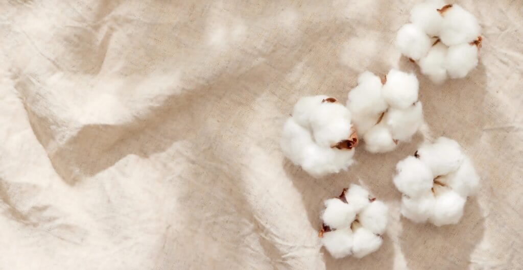 A close-up image of several cotton bolls placed on a soft, beige fabric surface, with a crumpled piece of fabric nearby.