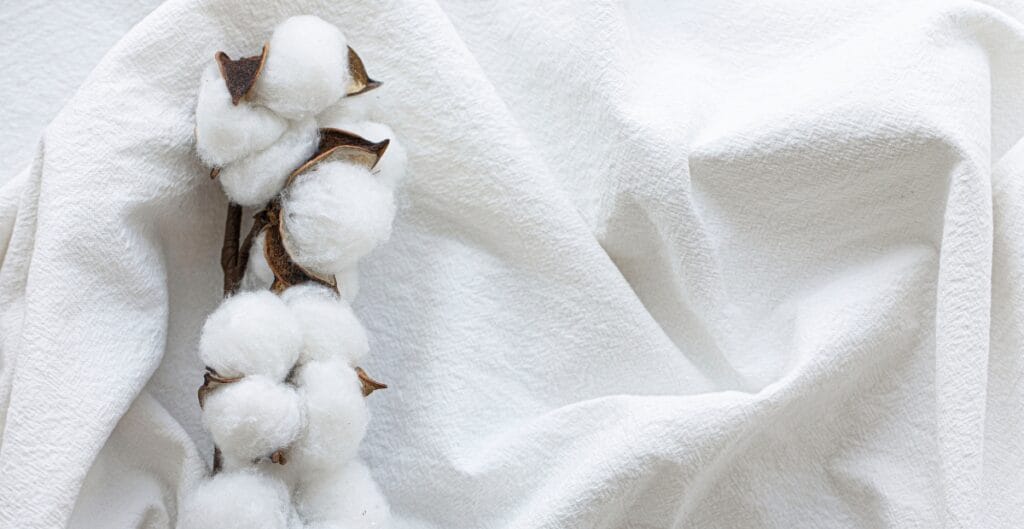 Close-up of a cotton plant with white fluffy cotton bolls on a textured white fabric background.