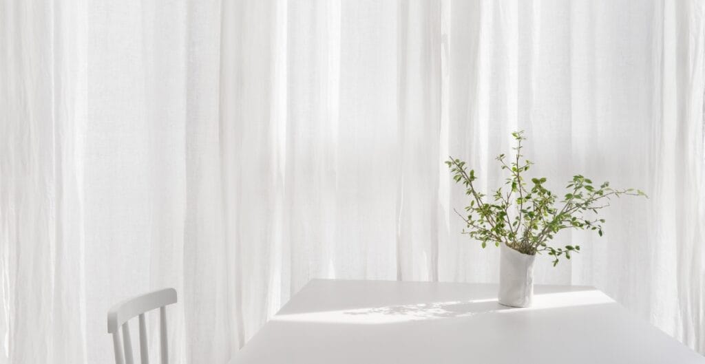 A simple white table with a white vase containing a green leafy plant, set against a backdrop of white curtains, with sunlight casting a shadow on the table.