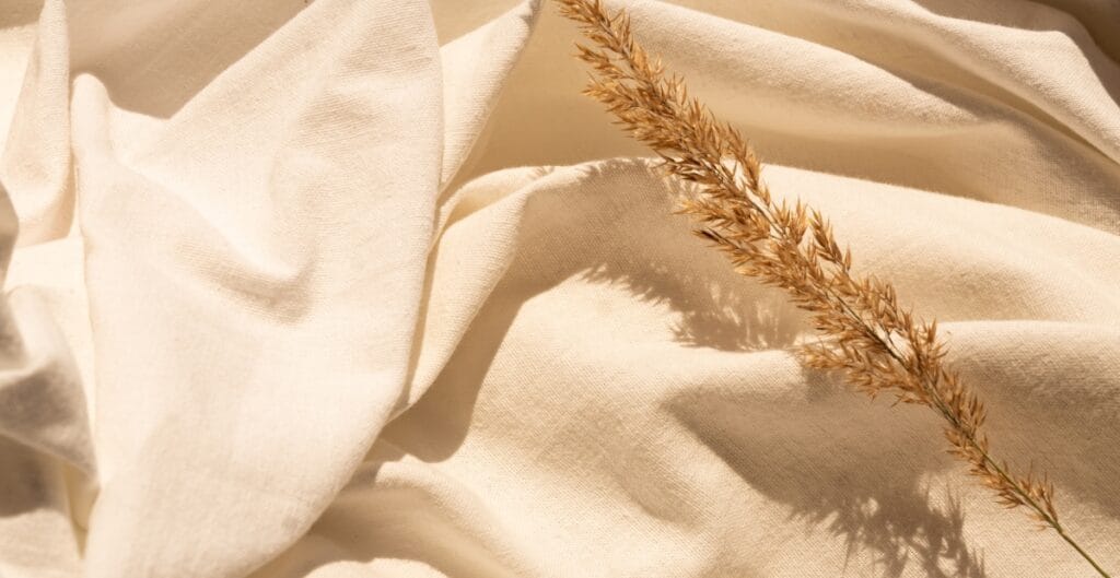 A close-up image of a dried grass branch casting shadows on a soft, wrinkled beige fabric.