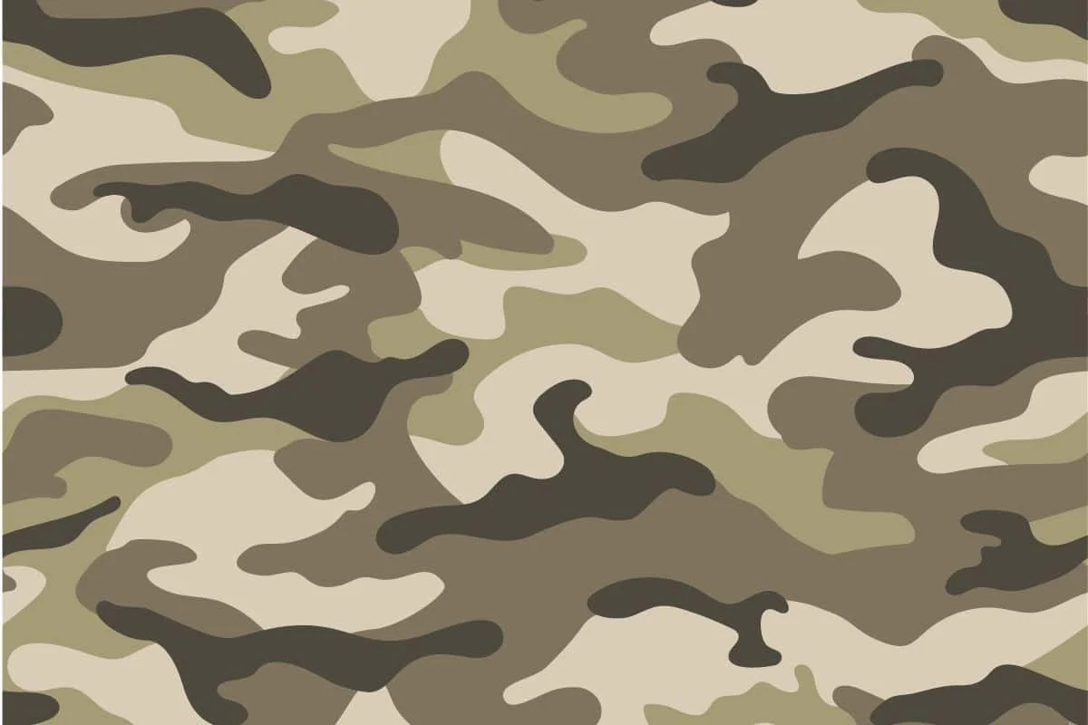 Camouflage Pattern 5