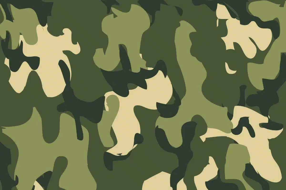 Camouflage Pattern for Army. Army soldier uniform Patterns