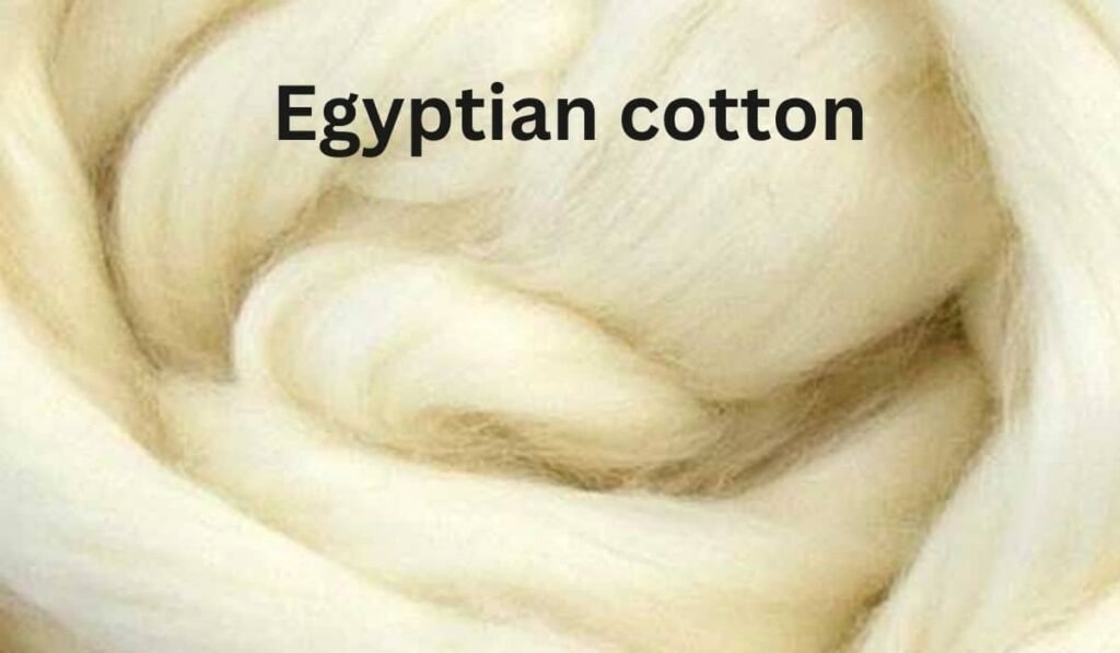 Close-up of soft, fluffy Egyptian cotton fibers showcasing their natural creamy color.