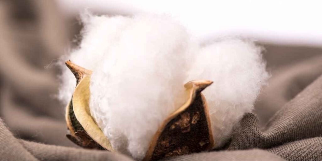 Exploring the Cotton Fabric and Its Features