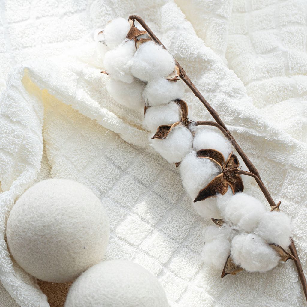 Organic Cotton: Its Relevance in the Sustainable Fashion Movement