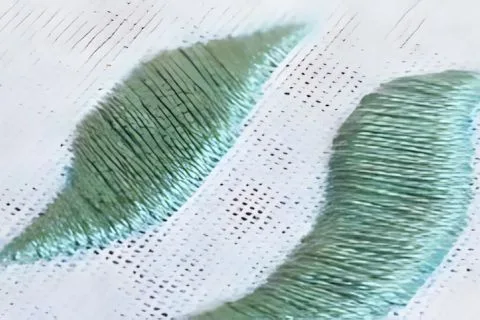 Satin stich embroidery design service.