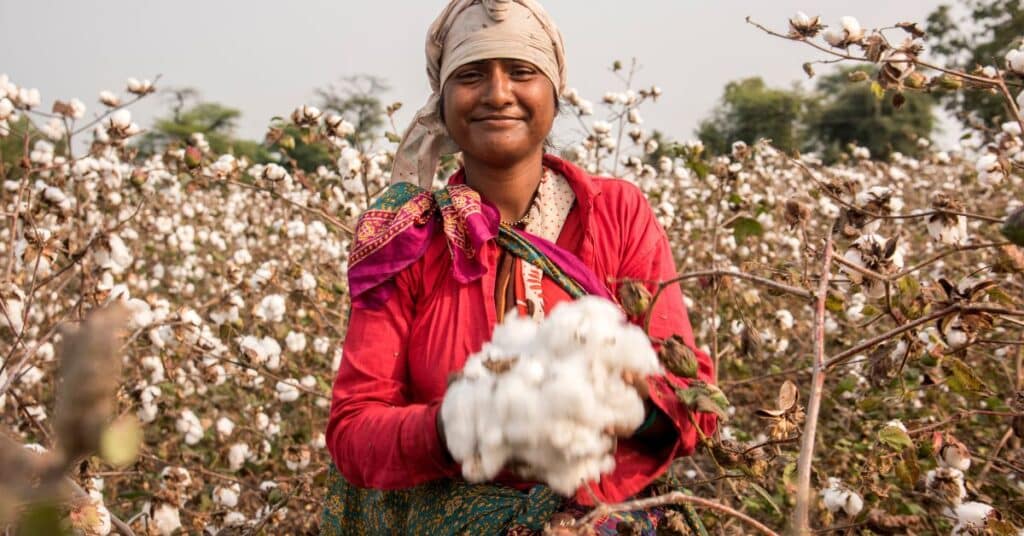 In the organic cotton field a women holding cotton in her hands.