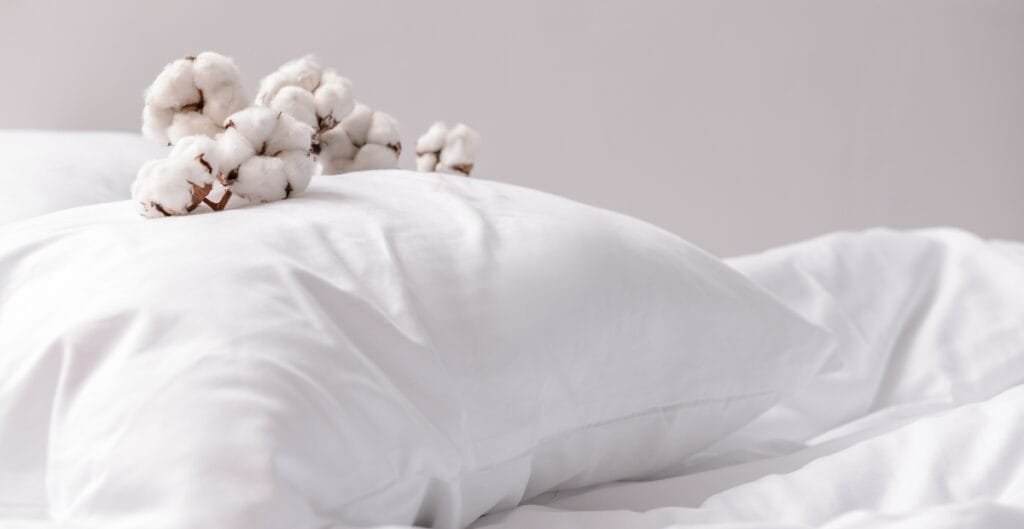 A close-up image of two white pillows on a neatly made bed, with a sprig of cotton resting on one pillow. Advantages of Cotton Fabric.