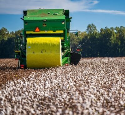 A green cotton harvester collecting cotton in a field on a bright, sunny day.
