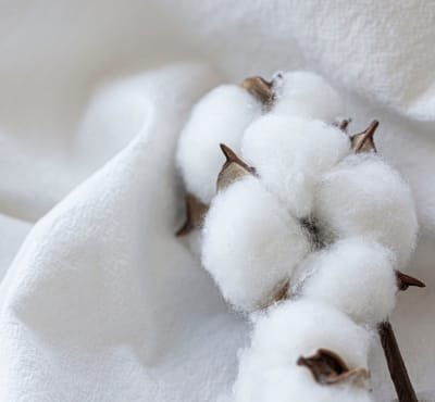 A close-up of cotton bolls on a soft, white fabric background.