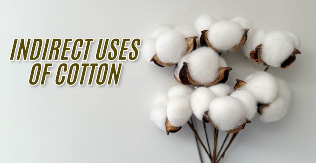 A cluster of cotton bolls with the text "INDIRECT USES OF COTTON" overlaying the image.