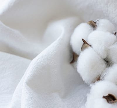Close-up of soft white cotton fabric with cotton bolls.