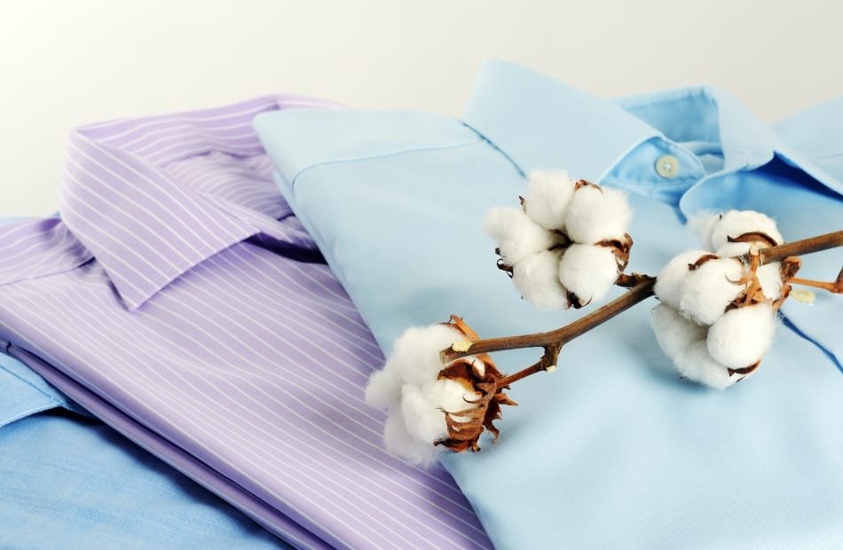 A close-up of neatly folded, pastel-colored dress shirts—one lavender with white pinstripes and the other light blue—with a branch of white cotton flowers resting on top.