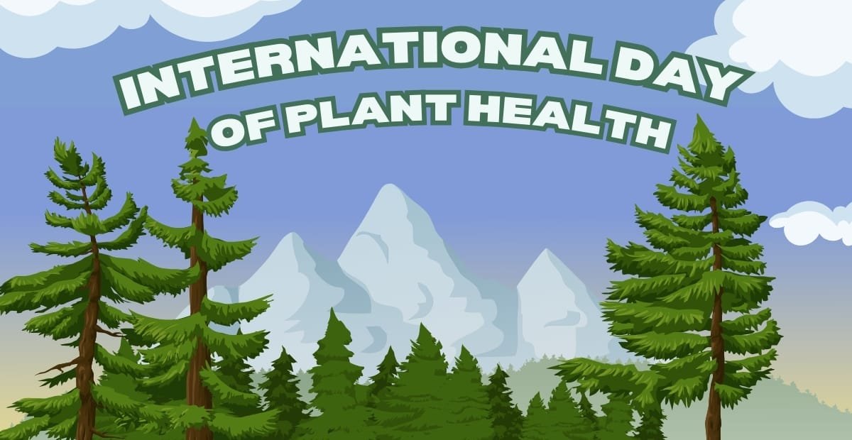 Illustration of tall green pine trees with mountains and clouds in the background, featuring the text "International Day of Plant Health."