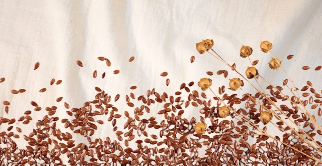 A flat lay of numerous flax seeds scattered across a light-colored fabric surface, with several dried seed pods on stems positioned on the right side of the image.