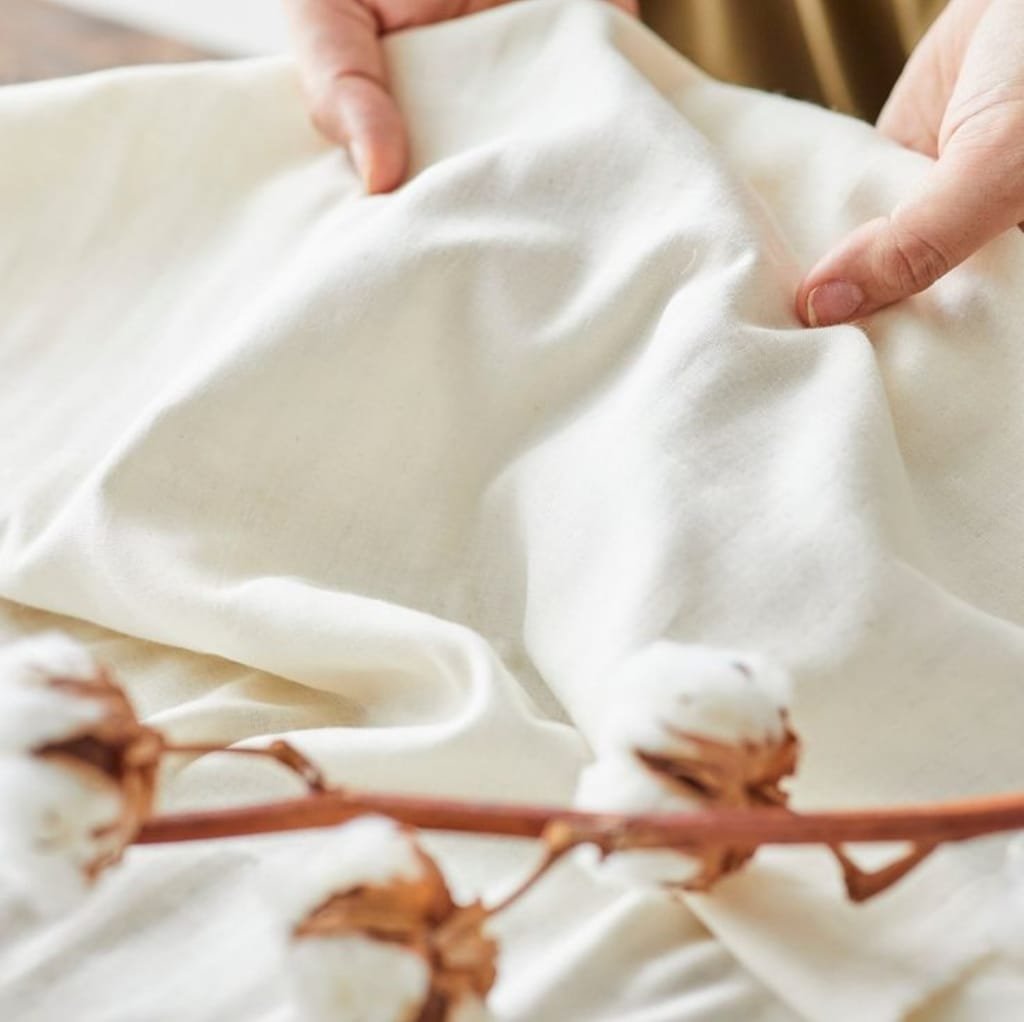 Close-up image of soft, white organic cotton fabric being gently held and stretched by hands, with a dried cotton branch in the foreground.